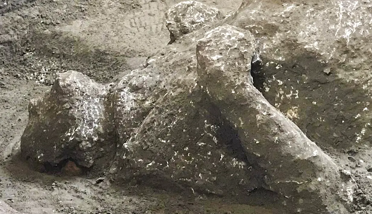 Salah satu dari dua jasad diyakini sebagai orang kaya dan budak prianya yang melarikan diri dari letusan gunung berapi Vesuvius hampir 2.000 tahun lalu, di pinggiran kota Romawi kuno Pompeii. Penemuan diumumkan otoritas arkeologi Italia pada Sabtu (21/11/2020). (Parco Archeologico di Pompei via AP)