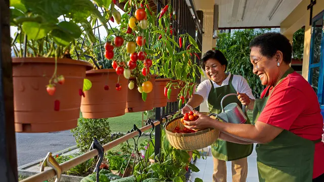 Ide Kebun Sayur untuk Paguyuban Ibu-ibu Paroki (AI)