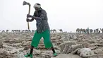 Seorang pria mencangkul di tambang garam di Danakil Depression, Afar, Ethiopia (28/3). Penduduk Ethiopia banyak yang menggantungkan hidup mereka sebagai penambang garam. (AFP Photo/Zacharias Abubeker)