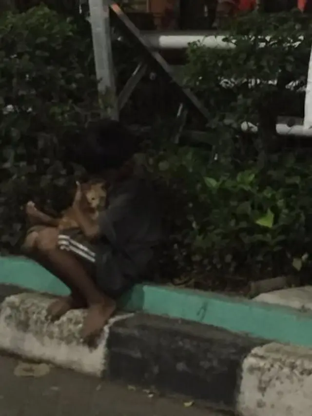 Buat Haru, Seorang Anak Ajak Kucing Jalanan Mengobrol Hingga Dipeluk