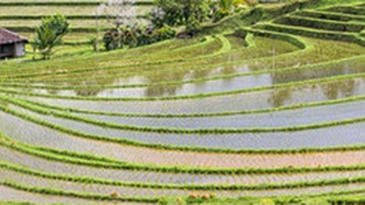 Pemda Tak Optimal, Pembangunan Irigasi Diambil Alih Pemerintah Pusat