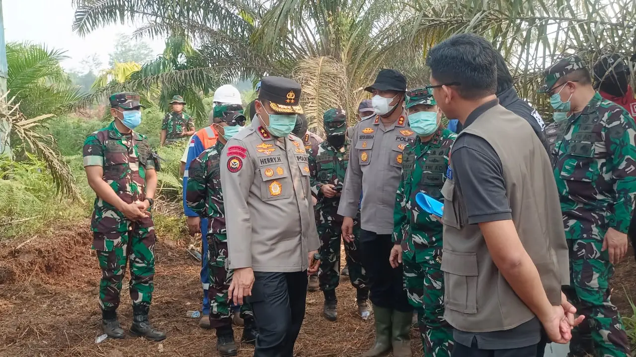 Kapolda Riau dan Pangdam Tuanku Tambusai mengecek karhutla di Kabupaten Siak (Istimewa)