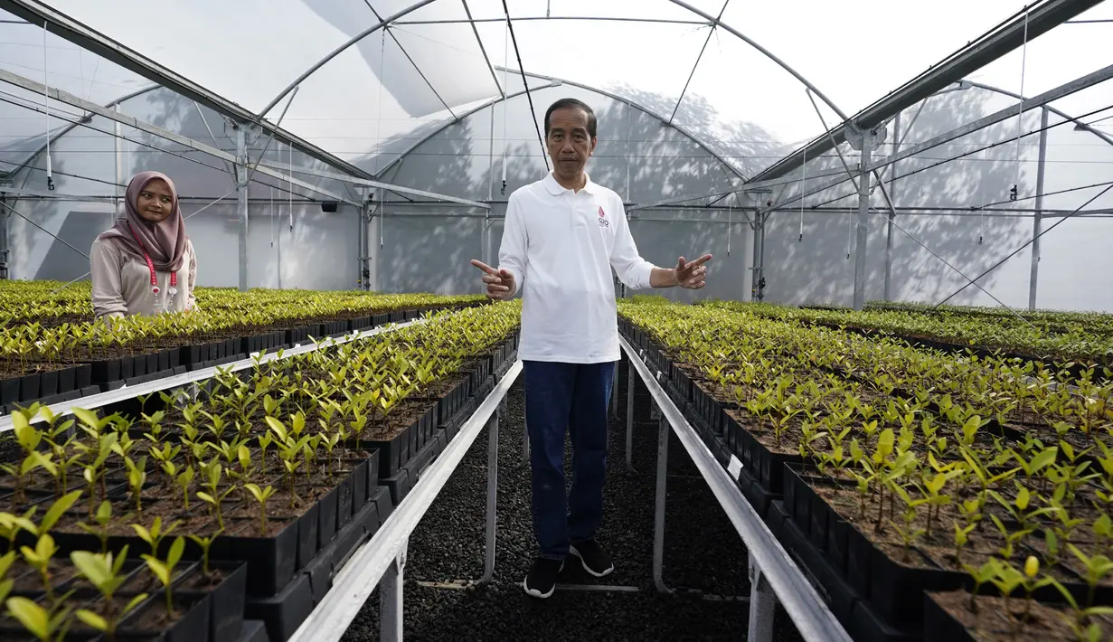 Presiden Indoensia Joko Widodo berpidato di pembibitan pohon mangrove dalam rangkaian agenda pertemuan KTT G20 di Hutan Mangrove Taman Hutan Raya Ngurah Rai, Denpasar, Bali, Indonesia, Rabu (16/11/2022). Agenda ini merupakan salah satu agenda resmi dari para delegasi G20 yang hadir di Bali, sebelum nanti melanjutkan kembali working group. (AP Photo/Alex Brandon via Pool)