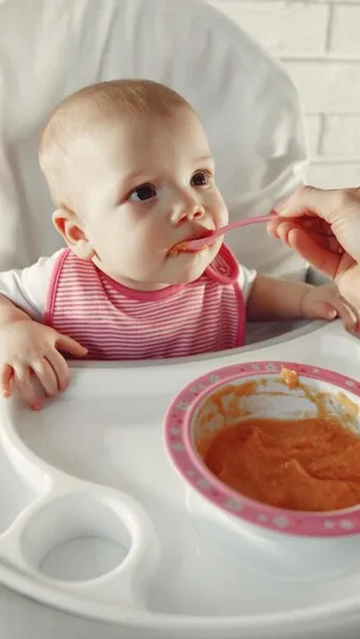 Pilihan Makanan yang Bagus untuk Kecerdasan Otak Bayi