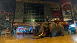 Sejumlah gajah diperbantukan dalam proses pemberian bantuan makanan kepada korban banjir di Provinsi Chiang Mai, Thailand. (AP Photo/Wason Wanichakorn)