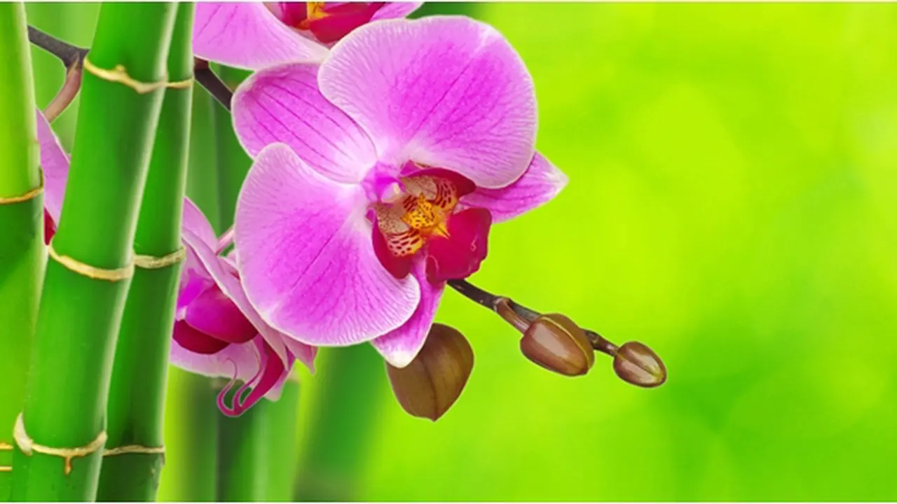 Courtesy ShutterStock.com