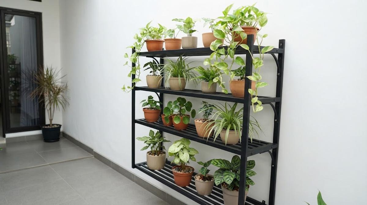 Kebun Vertikal dengan Rak Besi Minimalis