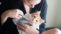 Top 3: Pasangan "Lahirkan" Kucing, Kalimat Pertama Setelah Koma