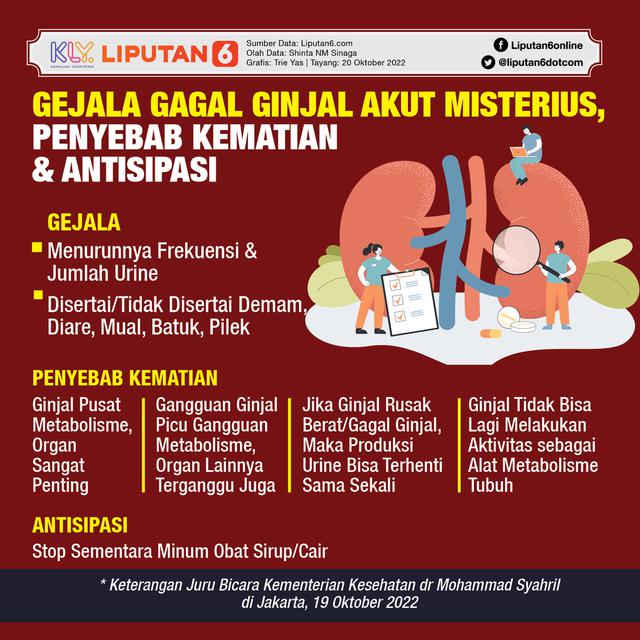 Infografis Gejala Gagal Ginjal Akut Misterius, Penyebab Kematian & Antisipasi