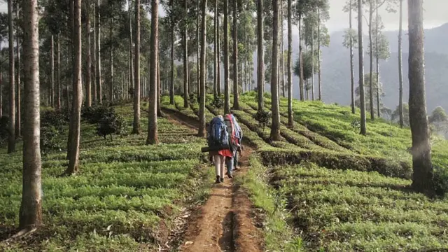 Gunung Kendang di Jawa Barat merupakan satu kawasan dengan Taman Wisata Alam Gunung Papandayan