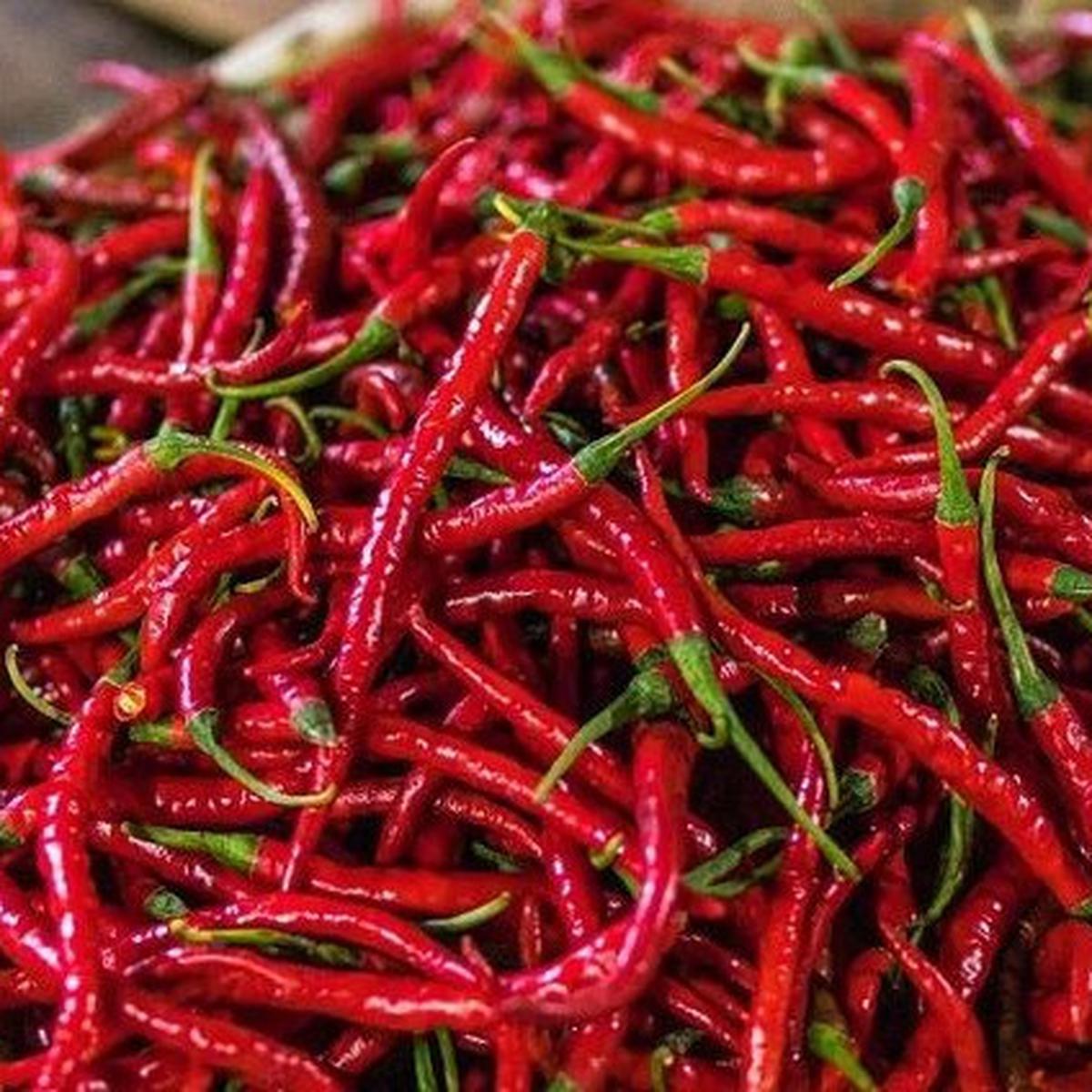 Cabe Merah