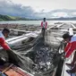 Hasil budi daya ikan air tawar seperti nila dan mujair melalui keramba jaring apung (KJA) di Danau Sentani, Distrik Heram, Jayapura, Papua (Istimewa)