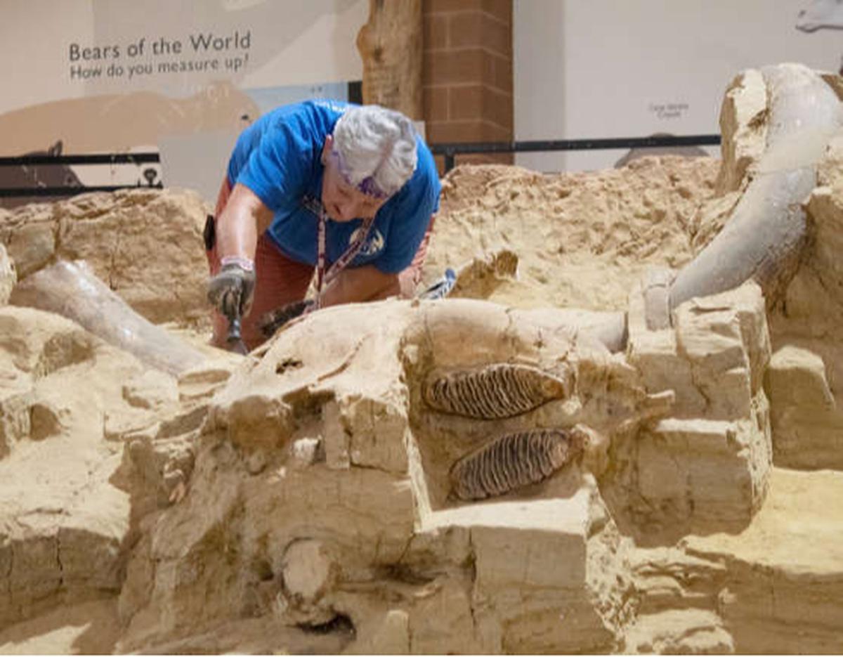 Museum Situs Mamut di Black Hills, South Dakota, Amerika Serikat.
