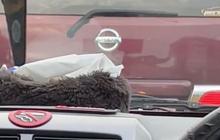 Bawa Istri Habis Operasi Caesar, Mobil yang Melaju Pelan Ini Pasang Tulisan Menyentuh di Belakang Kaca