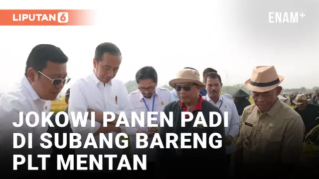 Jokowi Panen Padi di Subang Bareng Plt Mentan Pengganti Syahrul Yasin Limpo