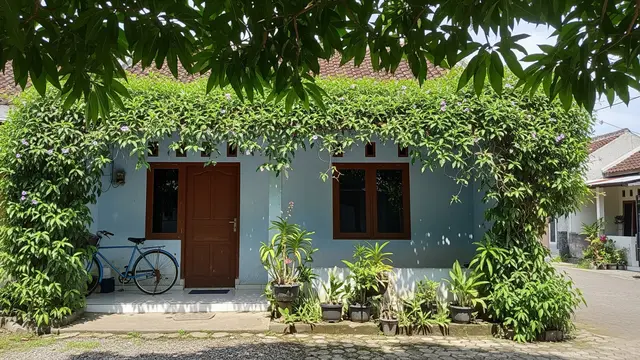 Tanaman Rambat Vernonia Elliptica yang Bikin Teduh Rumah