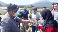Demi mencapai kemandirian bawang putih tahun 2021, Kabupaten Banyuwangi kini menjadi salah satu sentra pengembangan bawang putih yang dicanangkan Kementerian Pertanian (Kementan).