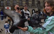 FOTO: Serunya Akhir Pekan Berinteraksi dengan Ribuan Merpati di Dam Square, Amsterdam