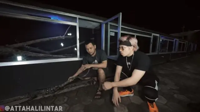 7 Penampakan Isi Rumah Panji Petualang, Ada Hewan Purbakala