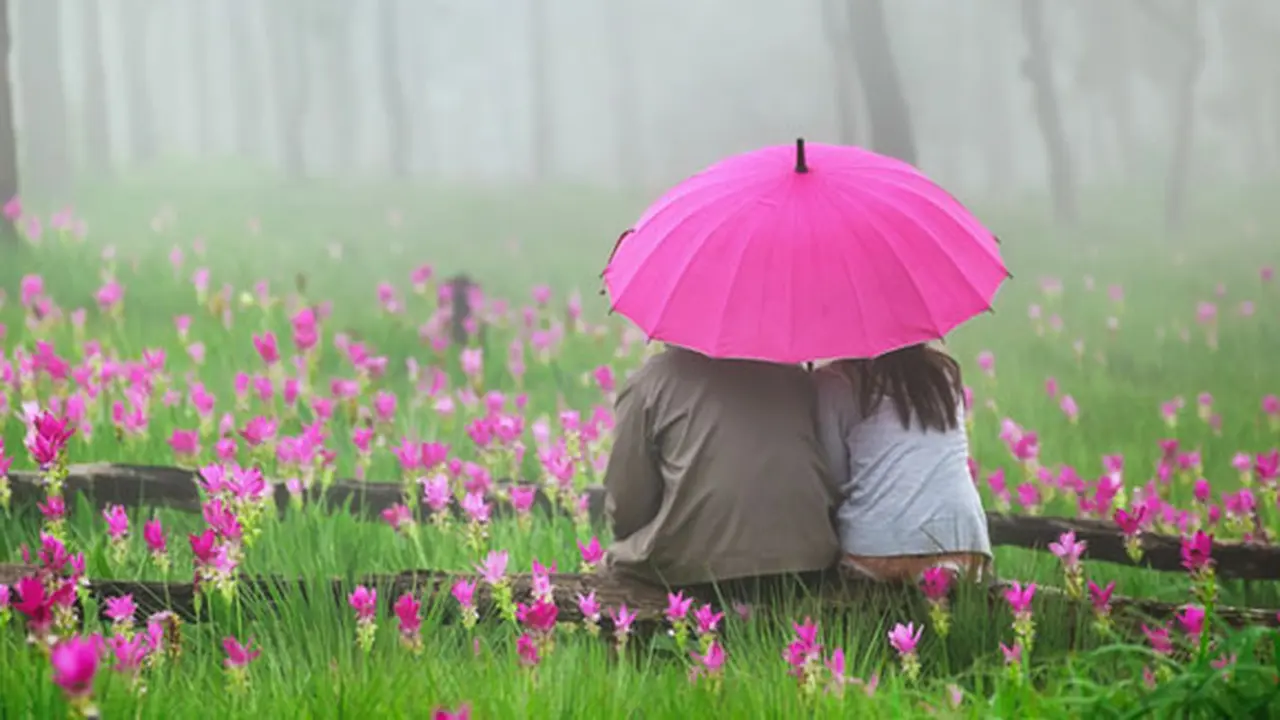 Foto: copyright thinkstockphotos.com