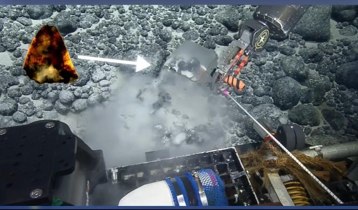 1. Penemuan Fosil di Wilayah Laut Dalam yang Terpencil&nbsp;<br>