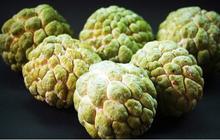 Manfaat Luar Biasa Buah Srikaya untuk Kesehatan Tubuh, Sudah Coba?