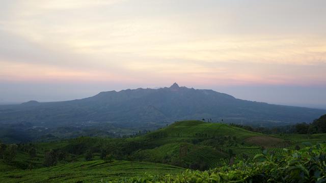 6 Tempat Wisata Di Blitar Yang Hits Dan Enggak Bikin Kantong Kering Lifestyle Liputan6 Com