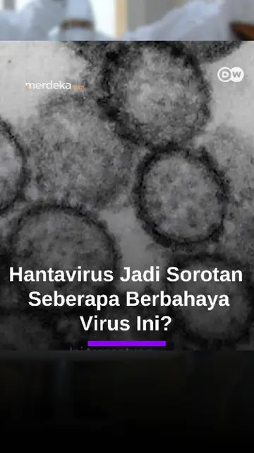 Mengenal Hantavirus dan Cara Penularannya