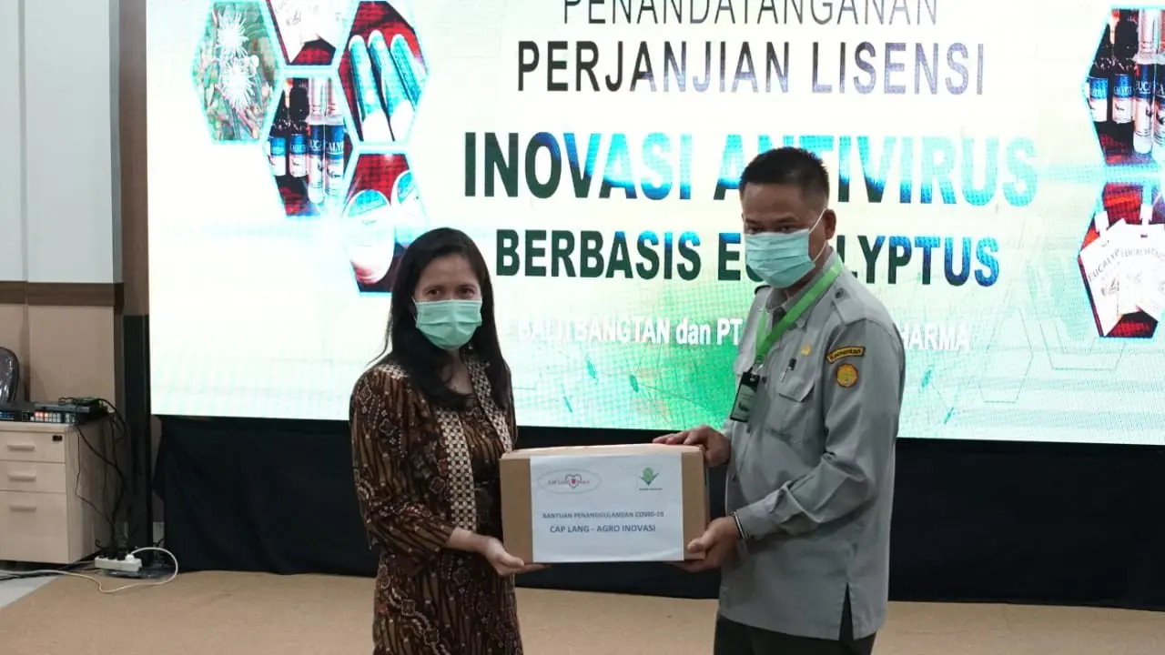 Balitbangtan Gandeng Cap Lang Kembangkan Anti Virus Corona Berbahan Eucalyptus
