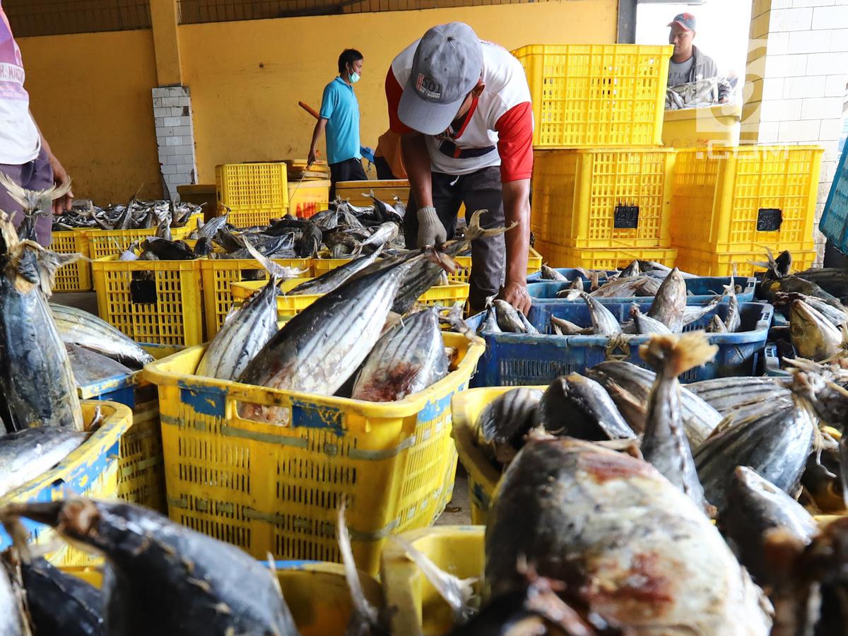 Imej Pelbagai Ikan Di Pasar Pagi