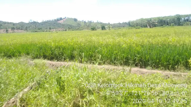 Kementan