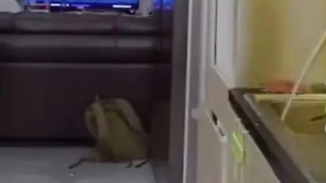 Epy Kusnandar dan Karina kini sering menghabiskan waktu di rumah, dan sebuah TV berukuran besar menjadi tempat favorit Epy untuk bersantai.