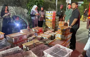2.775 Burung Diselundupkan di Bagasi Bus, Sopir dan Kernet Ditangkap