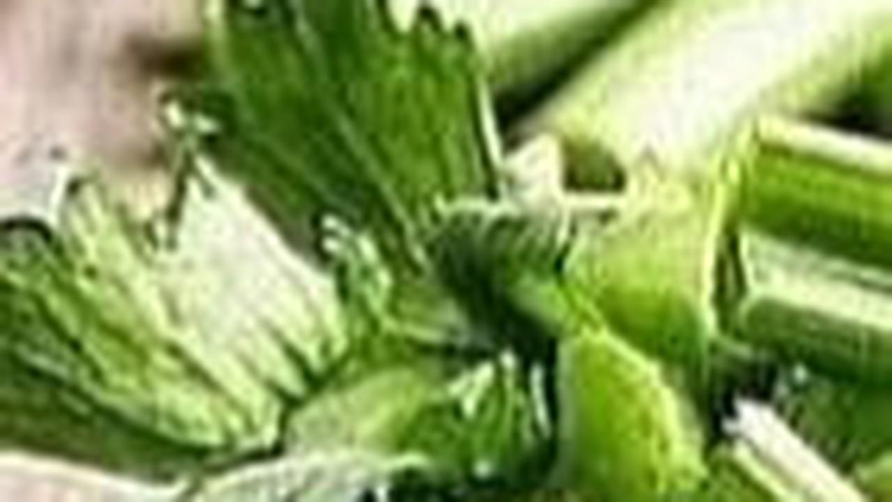 Tanpa Dimasukkan Freezer atau Direndam, Ini Cara Simpan Seledri Biar Tetap Awet Segar Selama 3 Minggu
