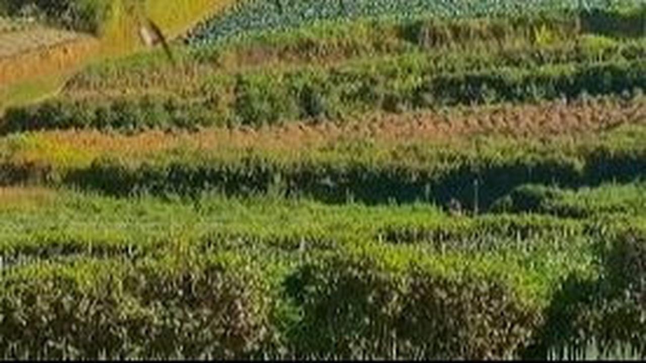 Berwisata ke Blumbang Roto, Hidden Gem di Lereng Gunung Sumbing yang Belum Banyak Diketahui