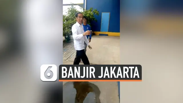 VIDEO: Jokowi Mendadak Kunjungi Waduk Pluit