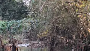 Diduga Cemari Sungai Cibojong, 3 Pabrik Batu Hijau di Sukabumi Dibekukan