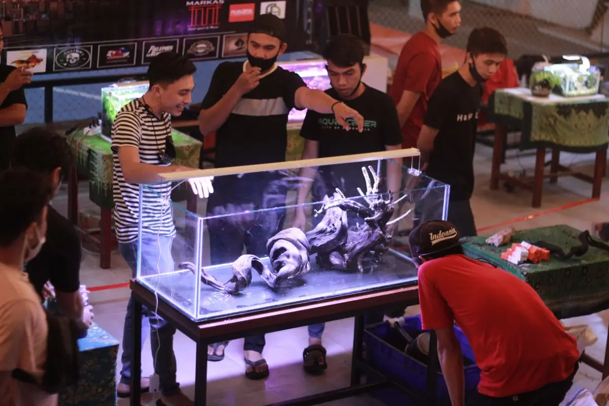 Aquascape Pemula Gorontalo (APG) saat menggelar pameran di Kota Gorontalo (Arfandi Ibrahim/Liputan6.com)