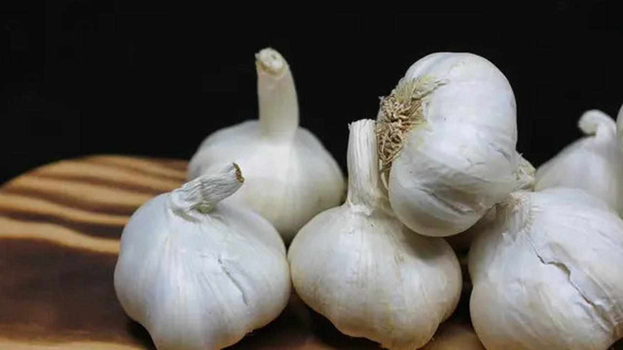 6 Bahan Alami yang Efektif Menyembuhkan Luka, Bisa Menghilangkan Bekasnya