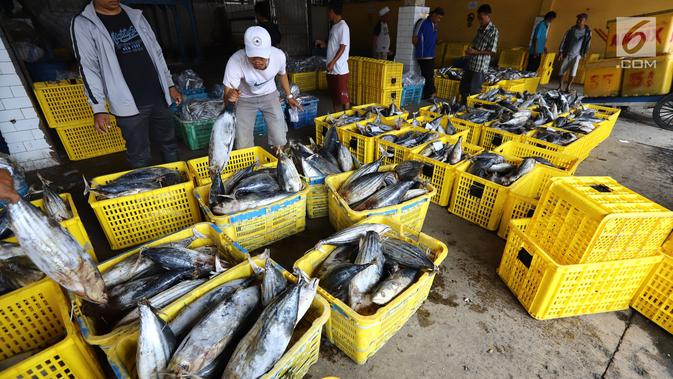 Nelayan memindahkan ikan laut hasil tangkapan di Pelabuhan Muara Angke, Jakarta, Kamis (26/10). Kementerian Kelautan dan Perikanan (KKP) menyatakan hasil ekspor perikanan Indonesia menunjukkan peningkatan. (Liputan6.com/Angga Yuniar)