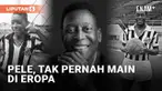 Legenda sepak bola dunia asal Brasil, Pele meninggal dunia di usia 82 tahun (29/12/2022). Pele membantu Brasil raih trofi Piala Dunia 1958, 1962 dan 1970. Punya prestasi mentereng, Pele justru tak pernah berkarir di Eropa yang menjadi kiblat sepak bo...