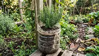 10 Pot Tanaman Murah dari Limbah Rumah Tangga, Modal Barang Bekas Rumah Bisa Bikin Kebun Mini