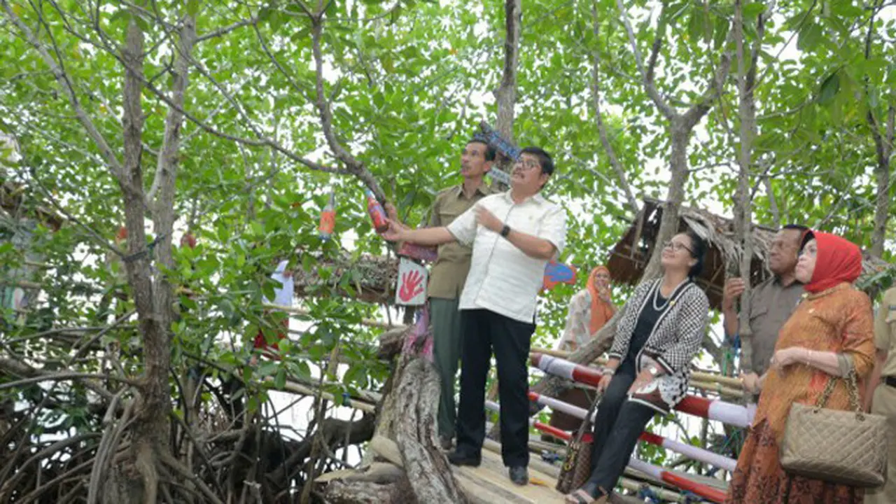 Komisi IV DPR RI meninjau hutan mangrove di Dusun Saluleang, Mamuju, Sulawesi Barat