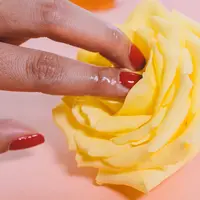 Ilustrasi organ kewanitaan | unsplash.com/@malvestida