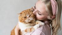 Top 10  Most Affectionate Cat Breeds That Love to Cuddle with You