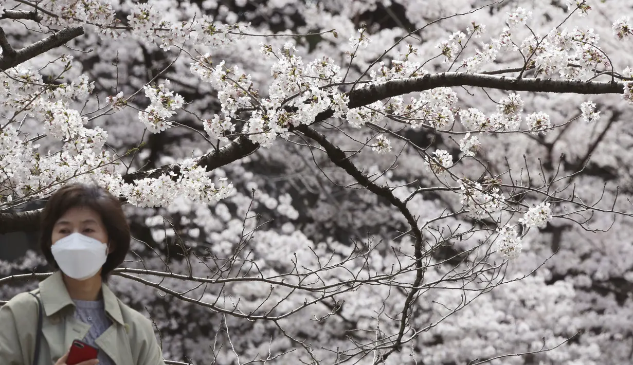 Seorang wanita mengenakan masker wajah menikmati melihat bunga sakura mekar penuh di Taman Chidorigafuchi di Tokyo, Jepang, Senin (28/3/2022). (AP Photo/Koji Sasahara)