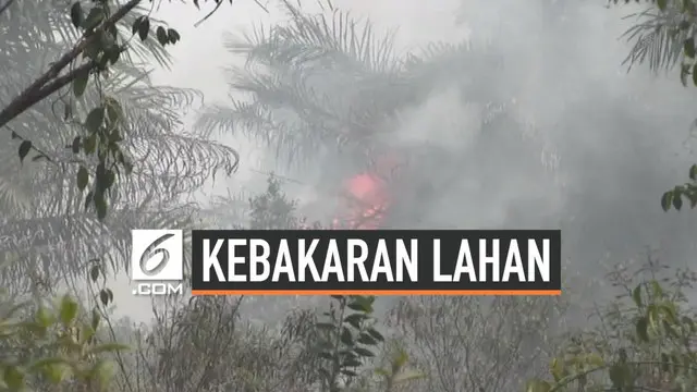 Kebakaran lahan gambut terus terjadi di Sumatera Selatan. Hingga kini tercatat sudah 60 hektar lahan yang terbakar dan menimbulkan kabut asap.
