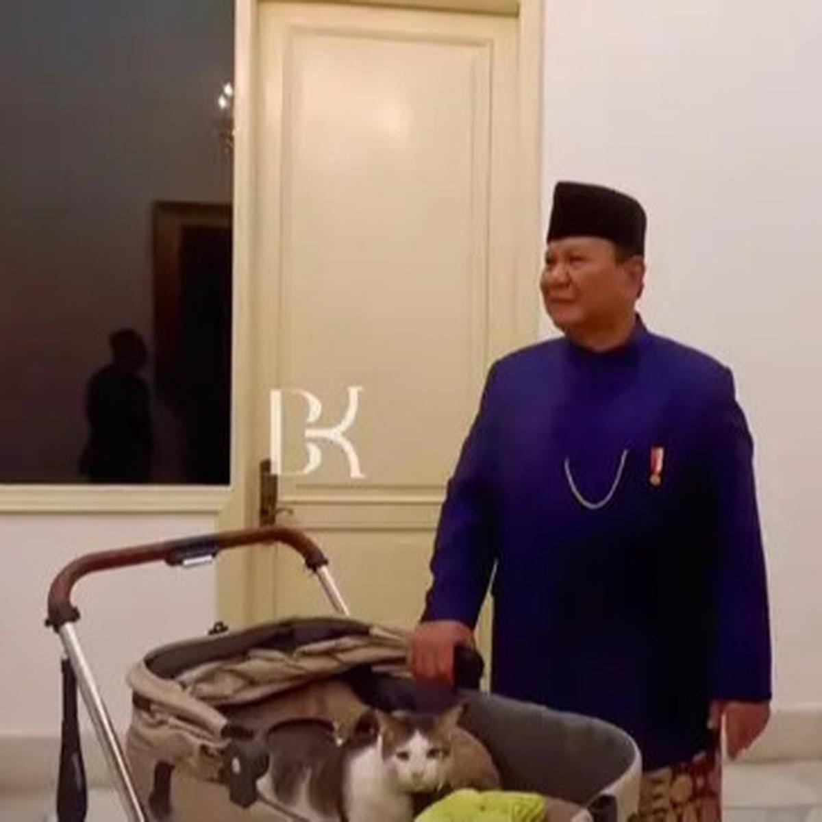 7 Potret Bobby Kucing Prabowo di Pelantikan Presiden, Jadi Penghuni Istana