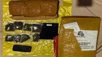 Ganja 6 Kg dari Medan Gagal Beredar di Bali, 2 Orang Ditangkap