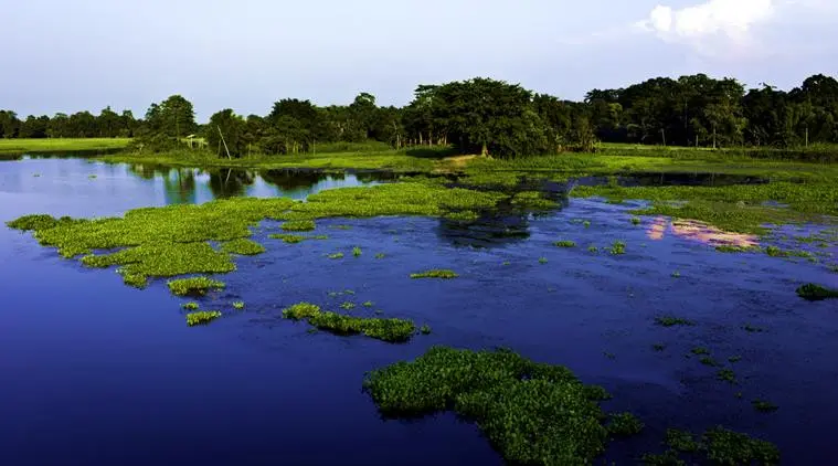 Pulau Majuli . Source: http://images.indianexpress.com